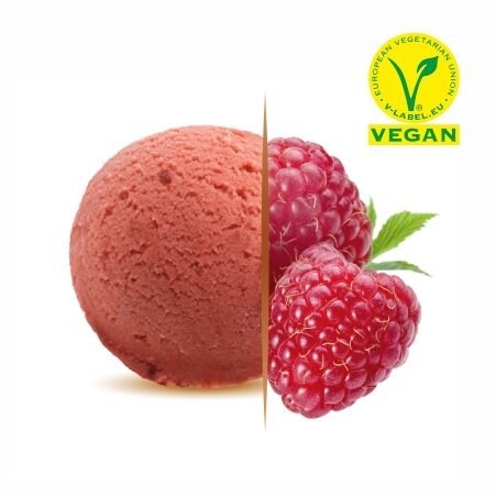 Sorbet Malinowy Carte d'Or -