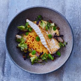 Smażona żabnica w sosie z białego wina Smażona żabnica w sosie z białego wina