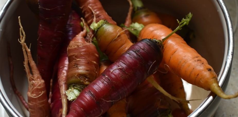Korzyści płynące z ochrony środowiska w gastronomii
