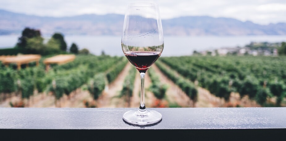 Trend na październik. Wino